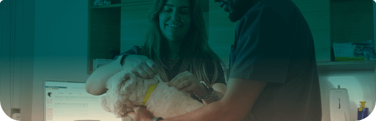 Book an Appointment at Vienna Vet in Dubai